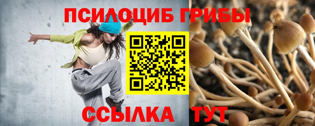 Топки  Галлюциногенные грибы GOLDEN TEACHER  Вход с VPN 